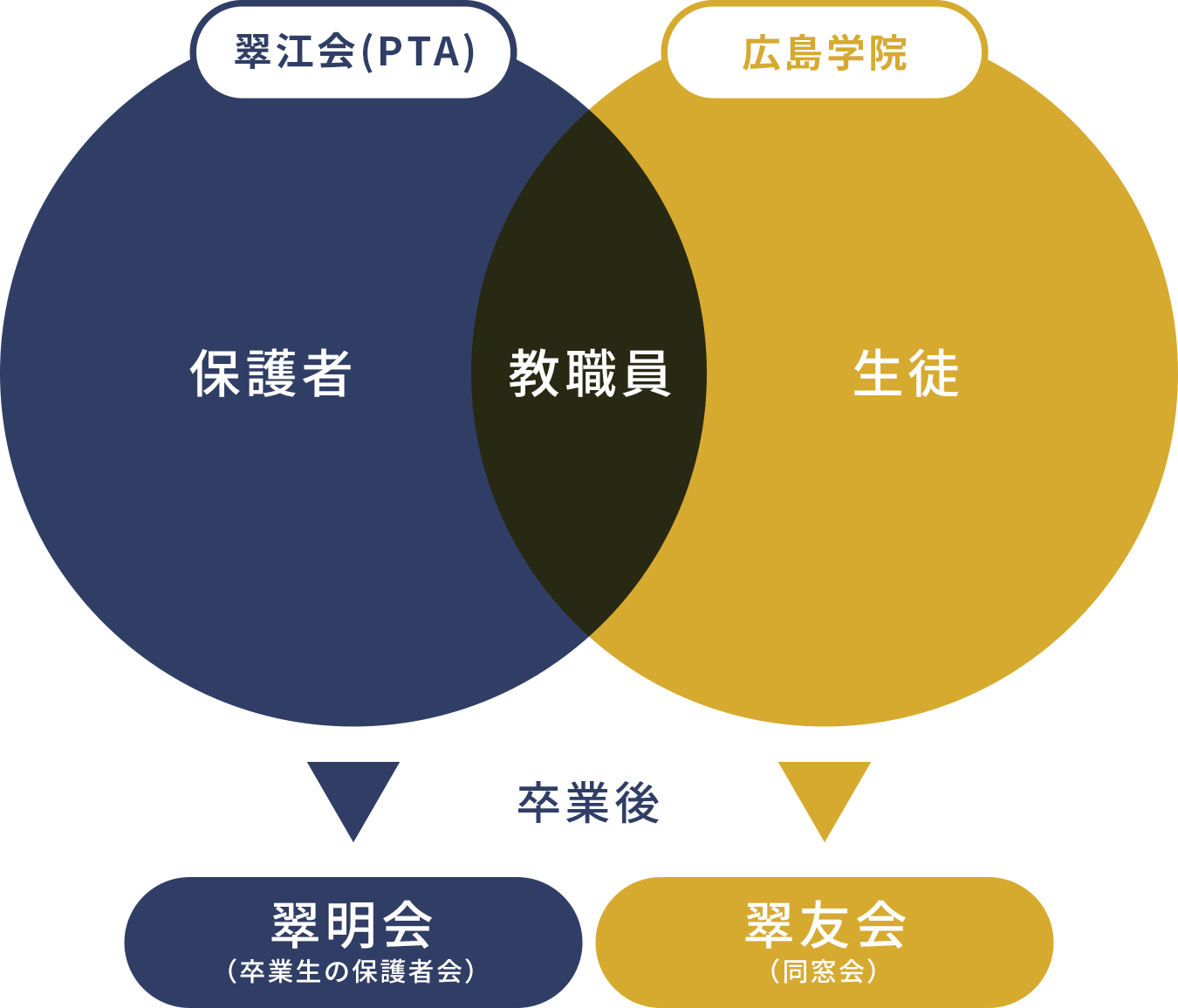 協力組織