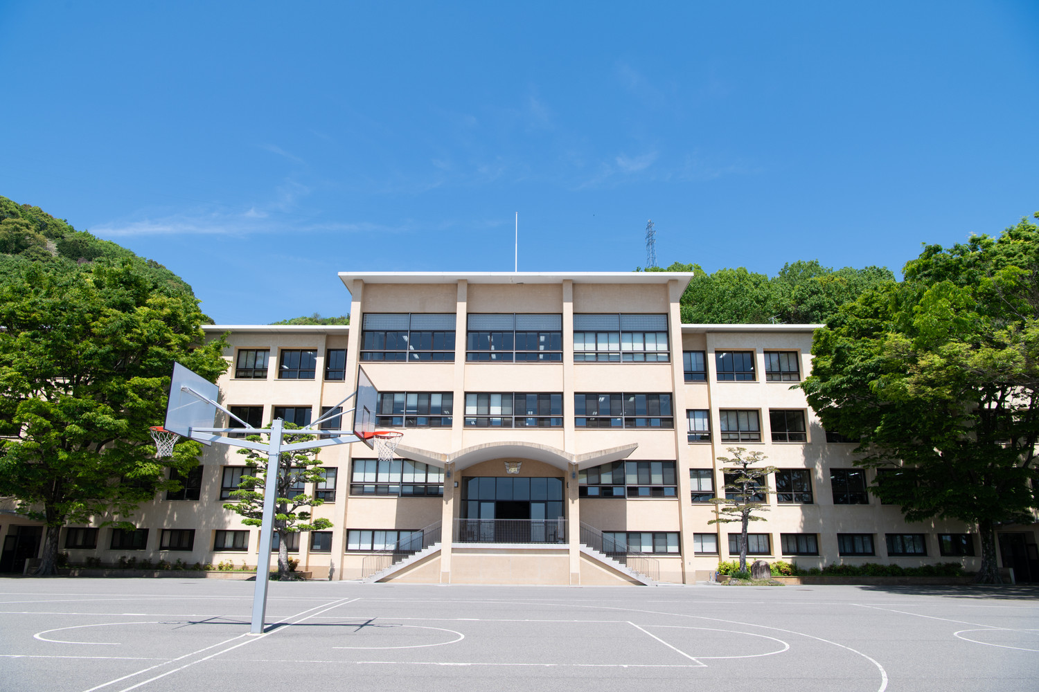 学校概要