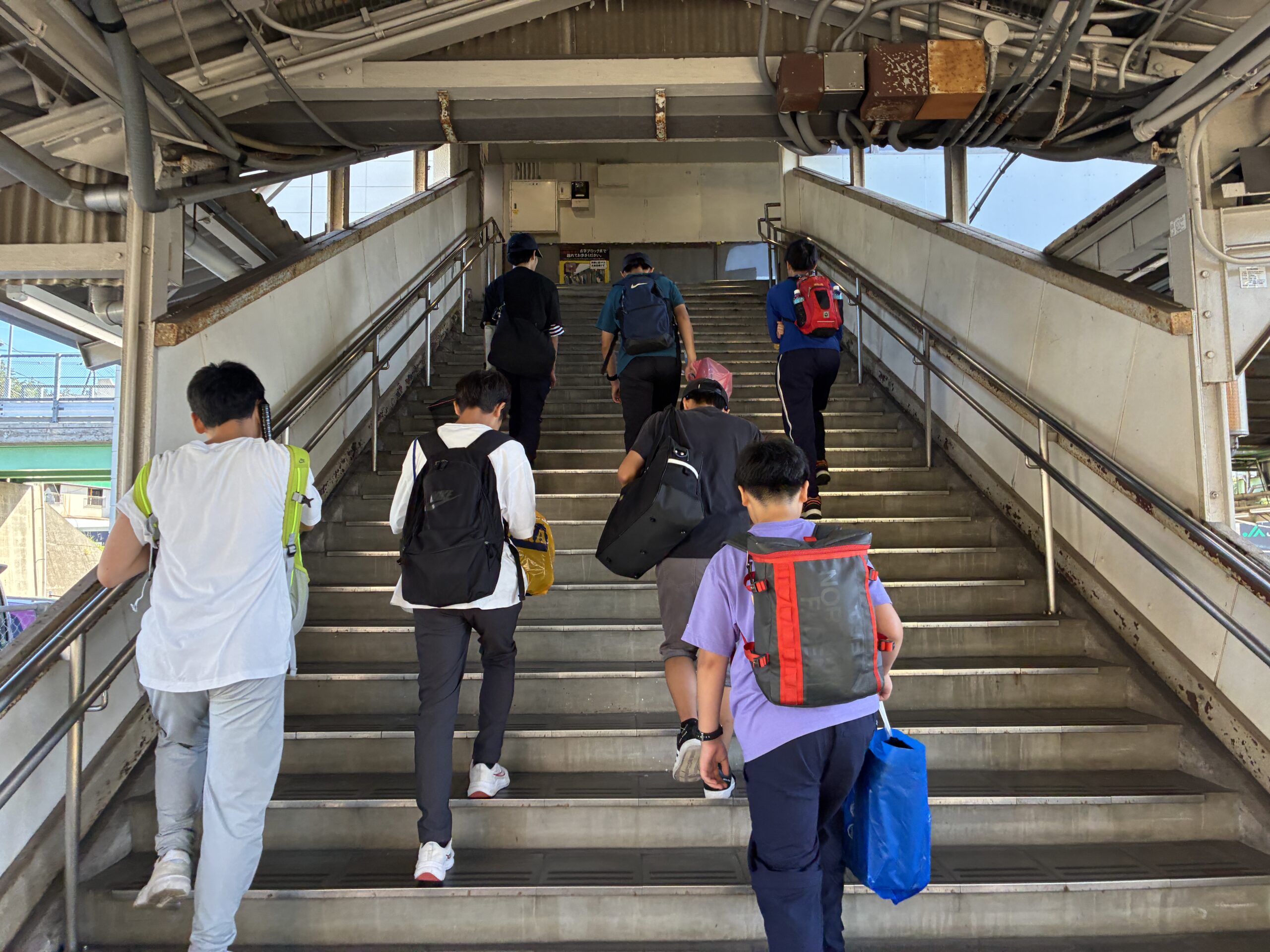 8/22)八本松でトンボ採集/(8/25)現部長によるトンボ講義 - 広島学院